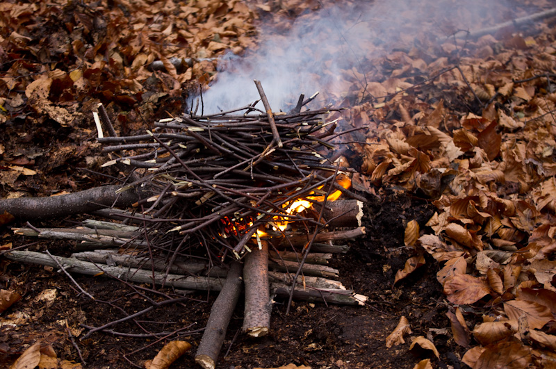 jak rozpalić ogień bushcraft survival